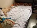 皮革单人床, 电扇廉价处理