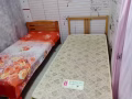 淡滨尼男床位出租