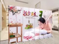 屏风隔断(中医养生美容按摩许多图案)