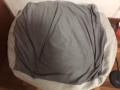 二手轉賣懶人沙發