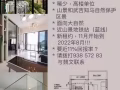 要近11%回報率 - The Hillier (紐約樓) - 出售