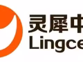 在线1对1青少中文课程,O-Level备考课程-灵犀中文Lingceed.com