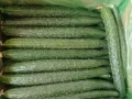 小程序水果蔬菜生活用品團購群