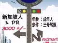 聘请3号驾照司机