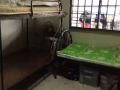 马林百列有男床位出租