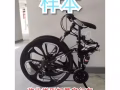 我是買家，收此類型摺疊自行車