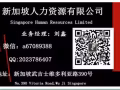 WP 3号司机    微信：a67089388