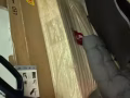 床墊，晾衣架，摺疊衣櫃