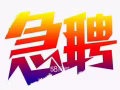 高薪销售，工作环境好！欢迎加V：jiechengguoji05 更多工种供您挑选