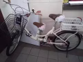 亲子自行车55