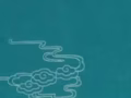 弘扬中医养生文化 传承千年中医养生疗法， ⭕️ 青蒿灸-抑菌