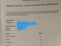 网上课（ zoom)