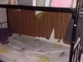粗铁上下铁床和两张单人床100.如果再加上黑色普通上下铁床就130 自取