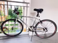 文理先驱湖畔出售自行车