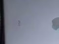 ipad5 ，插卡和wifi版