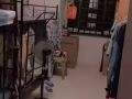 義順大牌322最近地鐵站．巴士站．搭房招一位女生