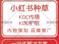 承接小红书笔记推广，策划，运营