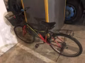 回国转让自行车🚲