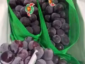 全島蔬菜水果海鮮批發零售