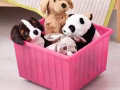 宜家收納箱