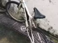 自行车