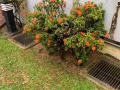 Sunny spring 公寓