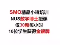 SMO培训 仅30新每小时 10位学生获得金银牌 NUS数学博士授课 精品小班