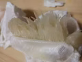 地道中國南方水果