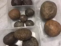 豪猪枣
