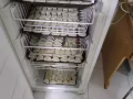 饺子牛肉