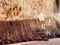 纯手工阿胶糕