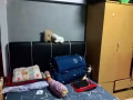 淡滨尼普通房出租???