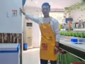 wp准证，中国人特别萌吃苦耐劳