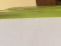 榨汁機mayer slow juicer MMSJ130