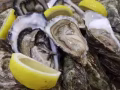 新鲜生蚝，价格美丽