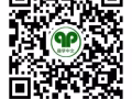 专业老师教授中小学华语课程