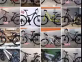 多款自行車，多種顏色，多種價格，微信 WhatsApp聯繫