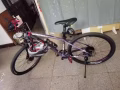 隨光而變喜德盛變色龍山地車