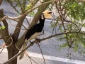 标准干净普通房出租