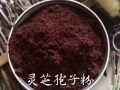 灵芝孢子粉