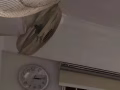 后港主人房出租