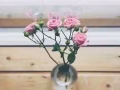 淡滨尼附近出租普通房