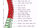 专业正骨师，可上门治疗