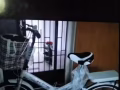 自行車
