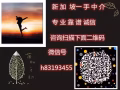 wp 4号司机 薪资高 休息多