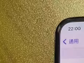 iPhoneX（500人民币）
