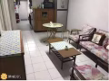 中巴鲁4人间男床位290