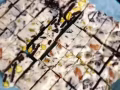 牛轧糖