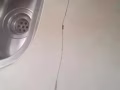 我要找人油漆   3房HDB  修理瓷砖