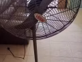 大风扇转让